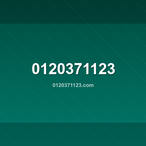 Logo 0120371123.com - Verificação SSL e reputação