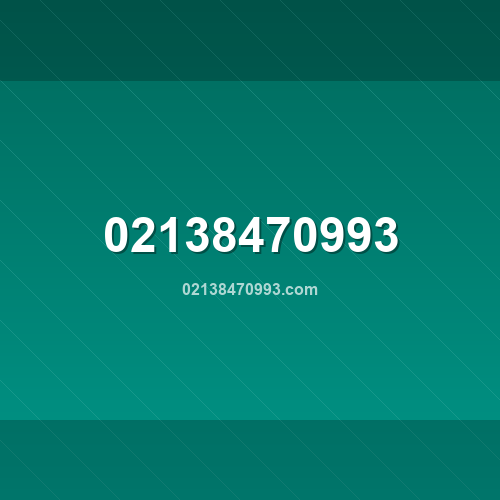 02138470993.com logo - Análise de segurança