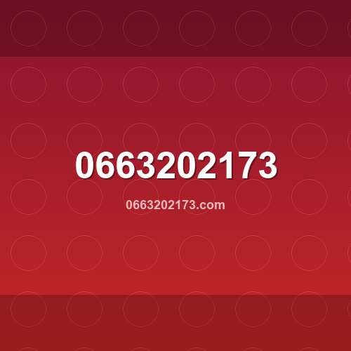 0663202173.com logo - Análise de segurança