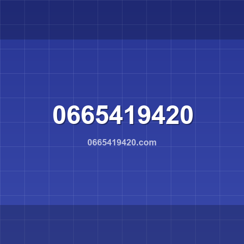 0665419420.com logo - Análise de segurança