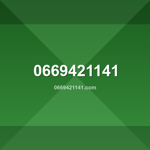 0669421141.com logo - Análise de segurança