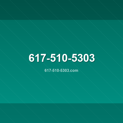 Logo 617-510-5303.com - Verificação SSL e reputação