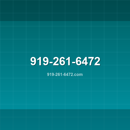 Logo 919-261-6472.com - Verificação SSL e reputação