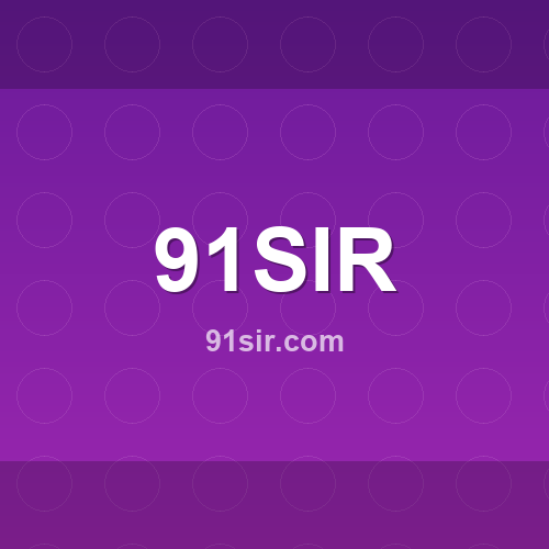 Logo 91sir.com - Verificação SSL e reputação