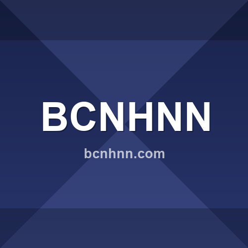 Imagem do site bcnhnn.com