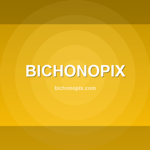 Logo bichonopix.com - Verificação SSL e reputação