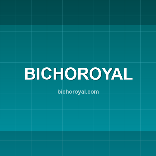 Logo bichoroyal.com - Verificação SSL e reputação