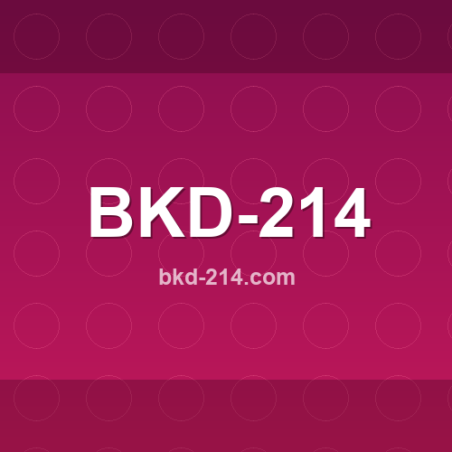 Imagem do site bkd-214.com