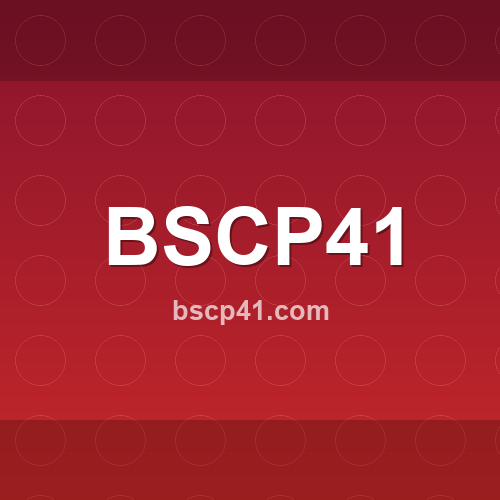 Logo de bscp41.com - Verificação de confiabilidade