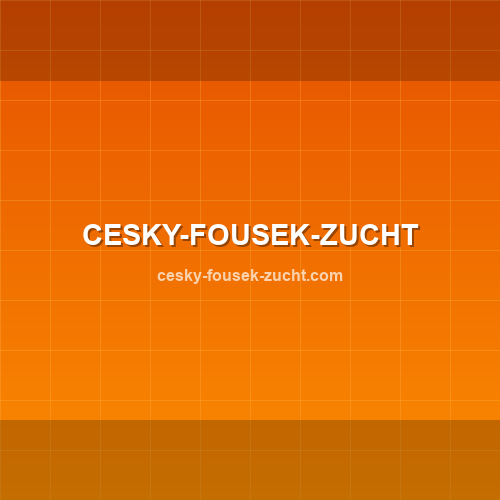 Logo cesky-fousek-zucht.com - Verificação SSL e reputação