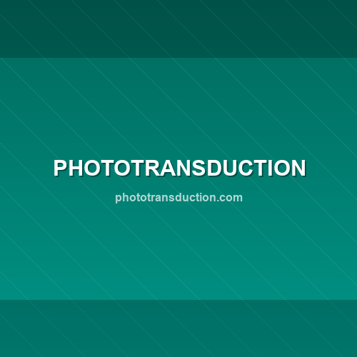 Logo phototransduction.com - Verificação SSL e reputação