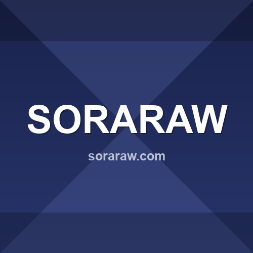 soraraw.com logo - Análise de segurança
