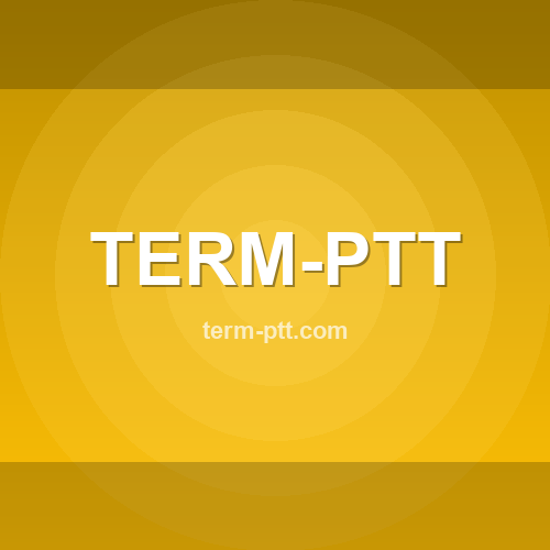 Logo term-ptt.com - Verificação SSL e reputação