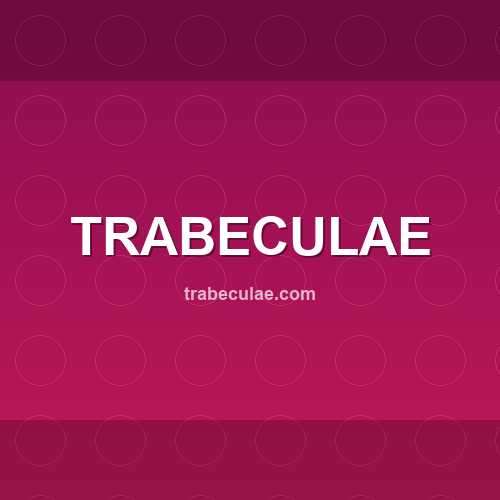 trabeculae.com - Site verificado pelo ConfiaBR