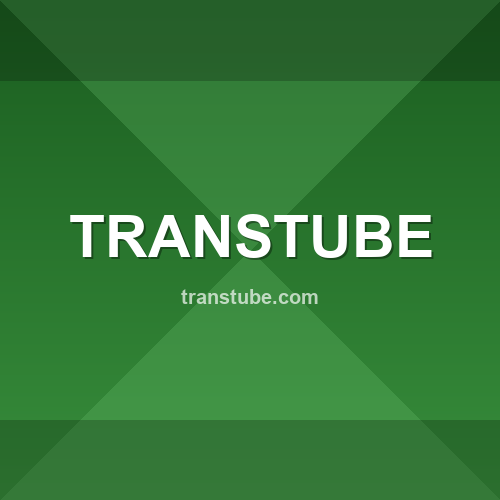Logo transtube.com - Verificação SSL e reputação