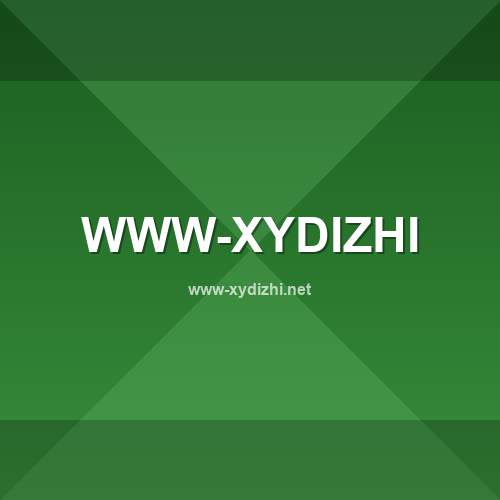 Logo www-xydizhi.net - Verificação SSL e reputação