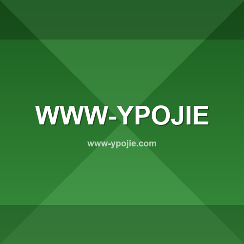 Logo www-ypojie.com - Verificação SSL e reputação